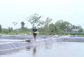 Tập trung bảo vệ thủy sản, đàn vật nuôi trước thời tiết nắng nóng