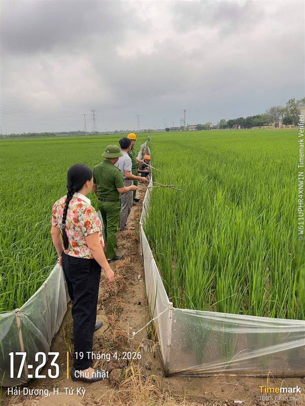Công an xã Lạc Phượng tăng cường phòng, chống hành vi sử dụng điện để bẫy chuột và kích cá