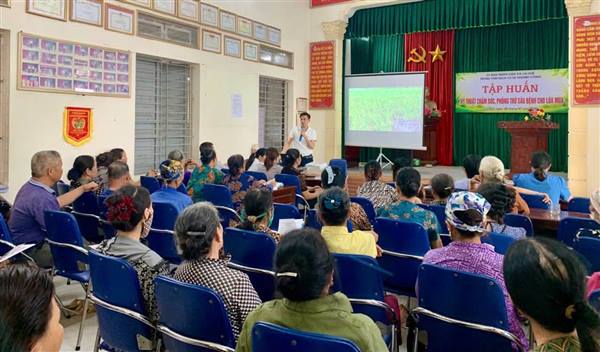 Xã Lai Khê tổ chức tập huấn kỹ thuật chăm sóc, phòng trừ sinh vật gây hại trên lúa vụ mùa năm 2026