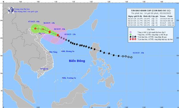 PHƯỜNG LÊ CHÂN CHỦ ĐỘNG TRIỂN KHAI CÁC BIỆN PHÁP ỨNG PHÓ VỚI BÃO SỐ 11 (MATMO)