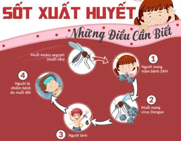 PHƯỜNG LÊ CHÂN TĂNG CƯỜNG PHÒNG, CHỐNG DỊCH SỐT XUẤT HUYẾT DENGUE