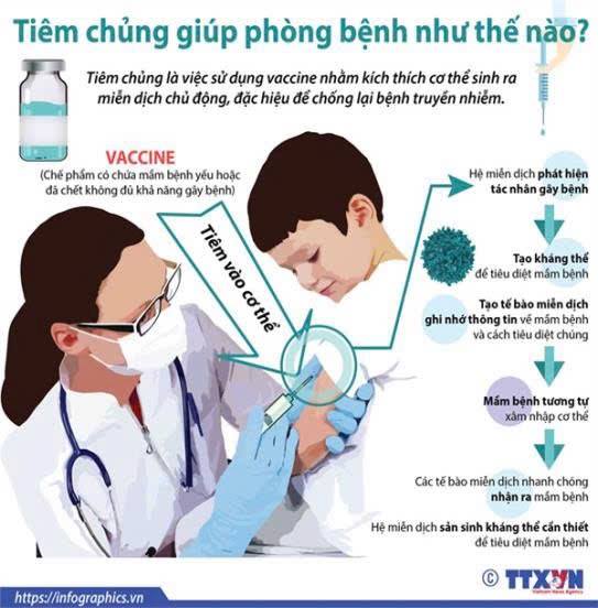 PHƯỜNG LÊ CHÂN: TRIỂN KHAI KIỂM TRA TIỀN SỬ VÀ TIÊM CHỦNG BÙ LIỀU CHO TRẺ NHẬP HỌC NĂM HỌC 2025-2025
