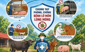 CẢNH BÁO KHẨN: PHƯỜNG LÊ CHÂN TĂNG CƯỜNG ỨNG PHÓ BỆNH LỞ MỒM LONG MÓNG SEROTYPE SAT1