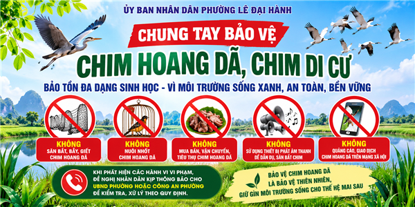 PHƯỜNG LÊ ĐẠI HÀNH TĂNG CƯỜNG TUYÊN TRUYỀN, BẢO VỆ CHIM HOANG DÃ, CHIM DI CƯ

Bảo vệ chim hoang dã là bảo vệ thiên nhiên, gìn giữ đa dạng sinh học và môi trường sống bền vững.