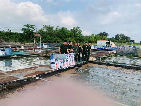 GƯƠNG SÁNG CỰU CHIẾN BINH PHƯỜNG LÊ ĐẠI HÀNH PHÁT HUY PHẨM CHẤT “BỘ ĐỘI CỤ HỒ” TRONG PHÁT TRIỂN KINH TẾ THỜI BÌNH