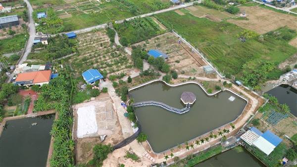 Phường Lê Ích Mộc kiên quyết xử lý vi phạm đất đai