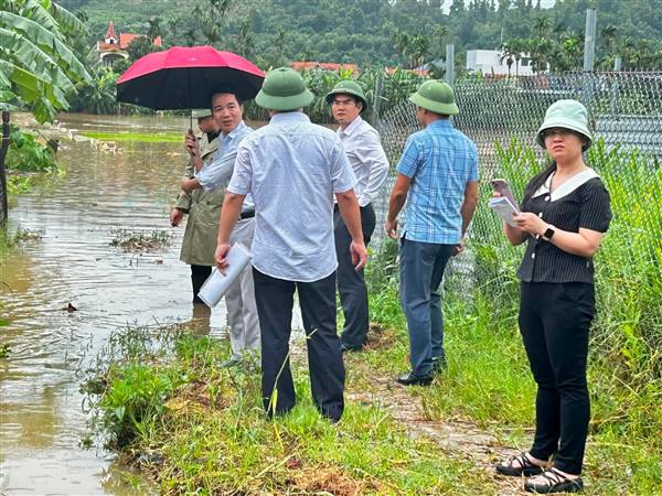 Lãnh đạo Phường Lê Ích Mộc kiểm tra điểm ngập úng sau mưa lớn