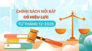 Những chính sách mới nổi bật có hiệu lực từ tháng 12/2025