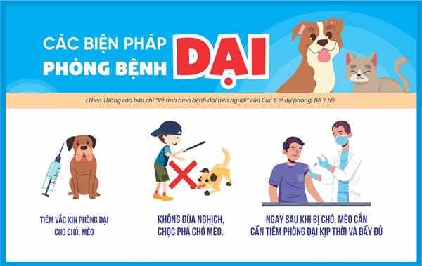 Hải Phòng đẩy mạnh tuyên truyền phòng, chống bệnh Dại trong cộng đồng