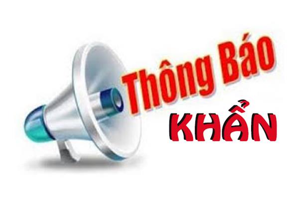 THÔNG BÁO KHẨN: CẤM HOẠT ĐỘNG BẾN PHÀ, CẦU VƯỢT SÔNG, ĐƯỜNG THUỶ NỘI ĐỊA ĐỂ ĐẢM BẢO AN TOÀN TRƯỚC BÃO SỐ 3 (WIPHA)