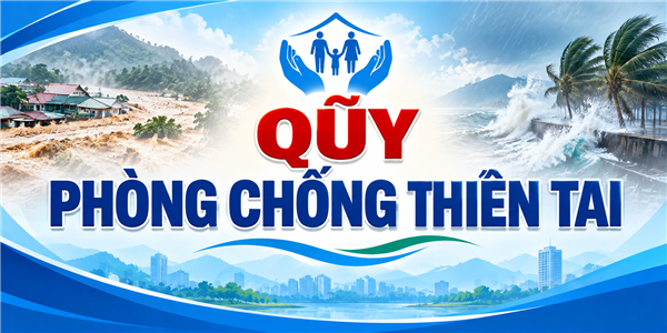 Báo cáo kết qủa thu, chi Quỹ phòng chống thiên tại năm 2025