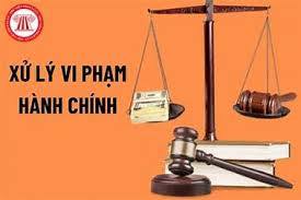 Vi phạm hành chính trong lĩnh vực đầu tư kinh doanh