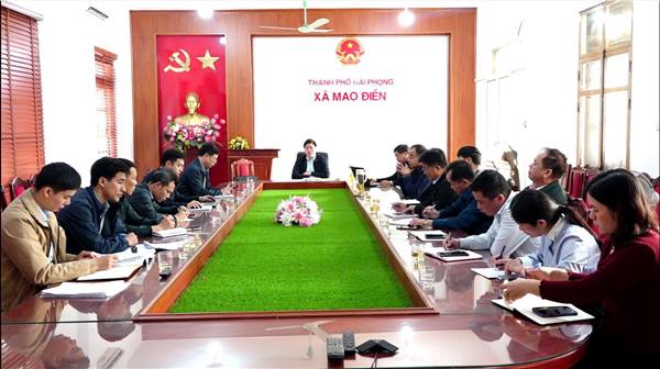 🎯 Đẩy nhanh tiến độ Khu công nghiệp Đại An: Mao Điền kiên trì đối thoại, quyết tâm xử lý dứt điểm vướng mắc GPMB