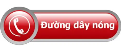 Đường dây nóng tiếp nhận, giải quyết các phản ánh  kiến nghị của địa phương và người dân trong quá trình  triển khai mô hình chính quyền 2 cấp
