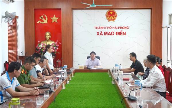 MAO ĐIỀN TRIỂN KHAI CÔNG TÁC GIẢI PHÓNG MẶT BẰNG DỰ ÁN NHÀ MÁY SẢN XUẤT CƠ KHÍ, KẾT CẤU THÉP