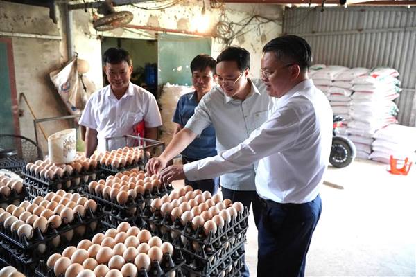  HỘI NGHỊ TUYÊN TRUYỀN, HƯỚNG DẪN NÔNG DÂN SẢN XUẤT, KINH DOANH NÔNG SẢN, THỰC PHẨM AN TOÀN NĂM 2026
