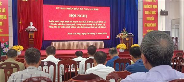 KHẨN TRƯƠNG RÀ SOÁT, XÁC ĐỊNH DANH TÍNH HÀI CỐT LIỆT SĨ