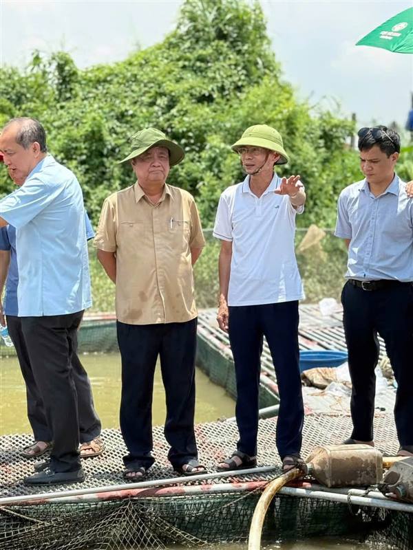 Xã Nam An Phụ vinh dự đón đồng chí Lê Minh Hoan, Nguyên Phó Chủ tịch Quốc hội, nguyên Bộ trưởng Bộ Nông nghiệp và Phát triển nông thôn cùng lãnh đạo Sở Nông Nghiệp và môi trường thành phố Hải Phòng, các phòng chức năng về thăm các mô hình chăn nuôi cá lồng tại xã Nam An Phụ