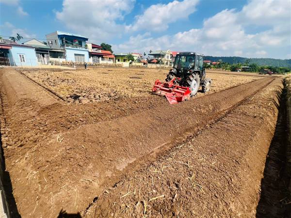 XÃ NAM AN PHỤ ĐẨY NHANH THU HOẠCH LÚA MÙA, TRIỂN KHAI SẢN XUẤT VỤ ĐÔNG