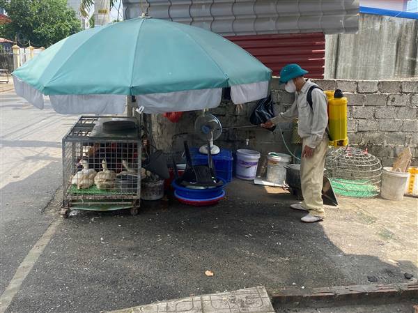 PHƯỜNG NAM ĐỒ SƠN TRIỂN KHAI THÁNG VỆ SINH, TIÊU ĐỘC, KHỬ TRÙNG MÔI TRƯỜNG ĐỢT 2 NĂM 2025