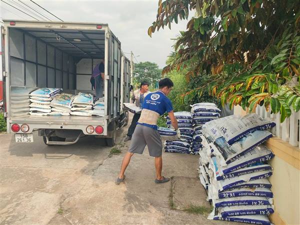 PHƯỜNG NAM ĐỒ SƠN HỖ TRỢ PHÂN BÓN HỮU CƠ, THÚC ĐẨY SẢN XUẤT TÁO THEO TIÊU CHUẨN VIETGAP