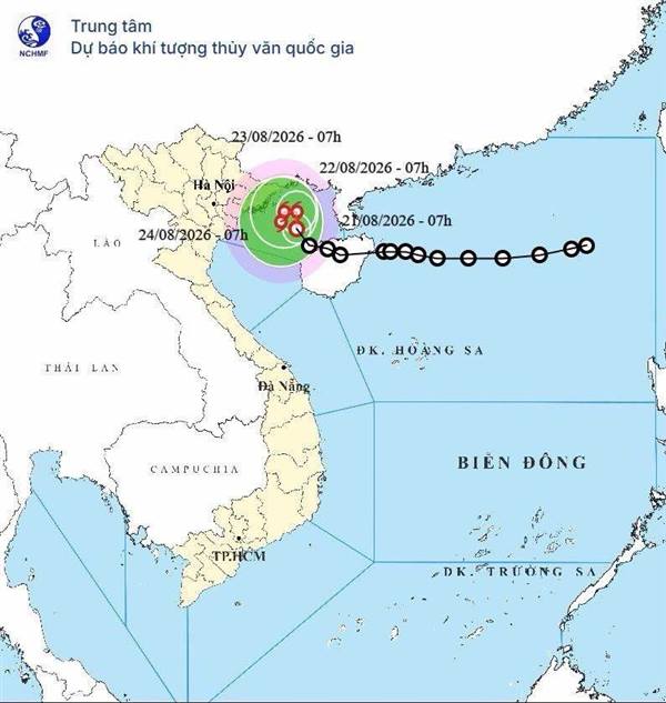 TIN ÁP THẤP NHIỆT ĐỚI TRÊN BIỂN ĐÔNG