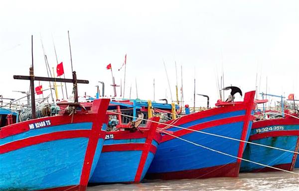 THÔNG BÁO
Về việc cấm một số hoạt động trên khu vực cửa sông, biển để phòng, chống bão số 4