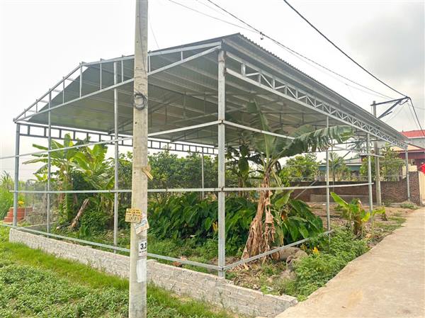 PHƯỜNG NAM ĐỒNG XỬ LÝ VI PHẠM ĐỐI VỚI HỘ GIA ĐÌNH SỬ DỤNG ĐẤT SAI MỤC ĐÍCH SỬ DỤNG