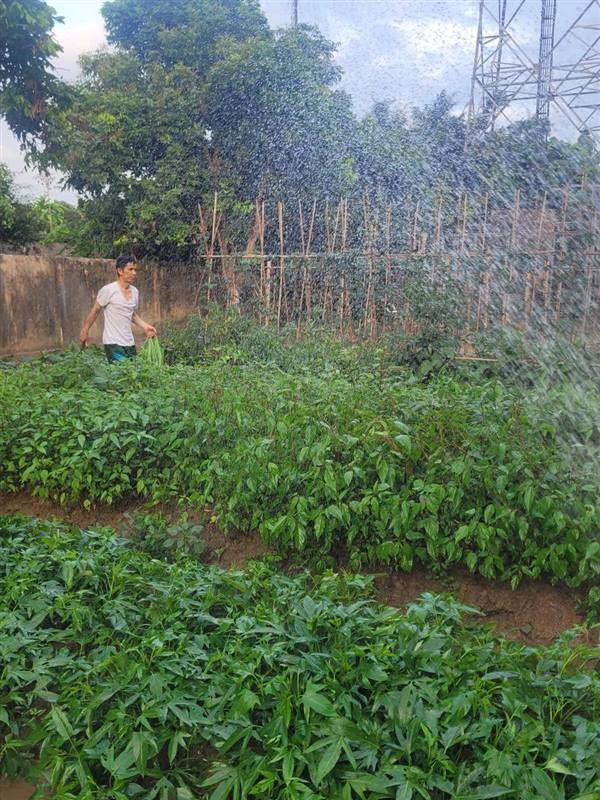 BAN CHỈ HUY QUÂN SỰ PHƯỜNG NAM ĐỒNG ĐẨY MẠNH TĂNG GIA SẢN XUẤT, NÂNG CAO ĐỜI SỐNG CÁN BỘ, CHIẾN SĨ