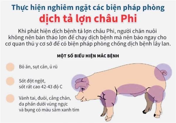 Hướng dẫn phòng dịch bệnh tả lợn châu Phi