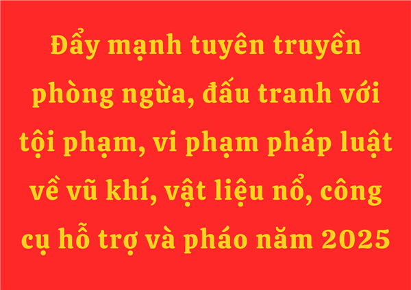 Đẩy mạnh tuyên truyền phòng ngừa, đấu tranh với tội phạm, vi phạm pháp luật về vũ khí, vật liệu nổ, công cụ hỗ trợ và pháo năm 2025