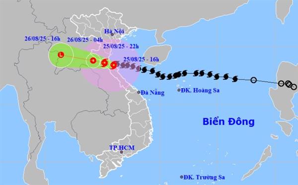 Nam Sách triển khai đồng bộ các giải pháp ứng phó bão số 5, bảo đảm an toàn cho Nhân dân
