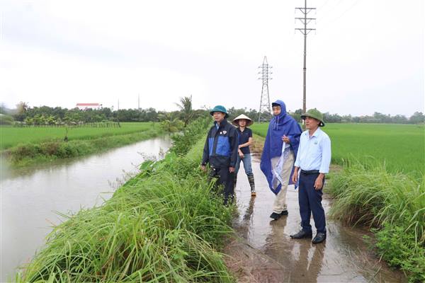 Lãnh đạo xã Nam Sách kiểm tra tình hình tiêu thoát nước nội đồng sau mưa lớn do ảnh hưởng bão số 5