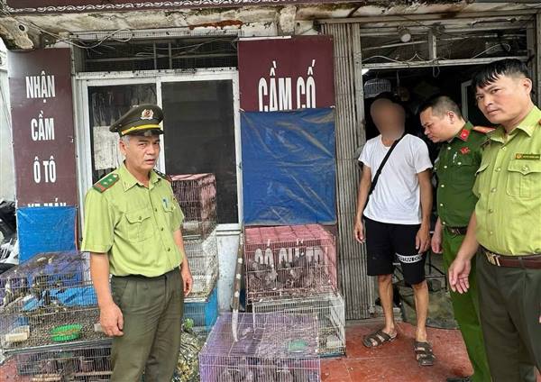 Công an xã Nam Sách phối hợp phát hiện, xử lý trường hợp nuôi nhốt 123 cá thể chim hoang dã