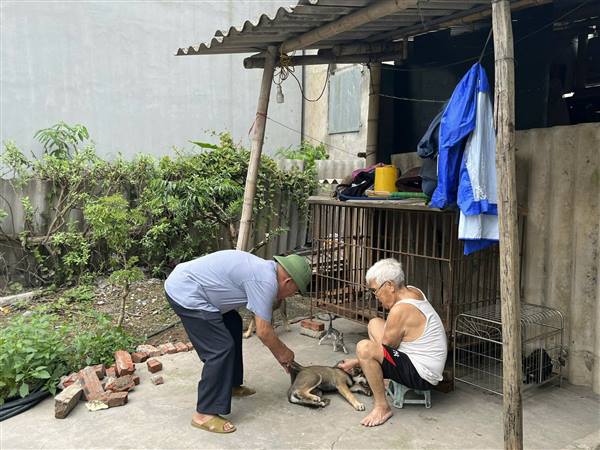 Nam Sách triển khai tiêm vắc xin phòng bệnh cho đàn gia súc, gia cầm năm 2026