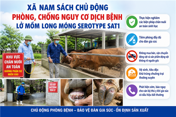 Xã Nam Sách chủ động phòng, chống nguy cơ dịch bệnh lở mồm long móng serotype SAT1