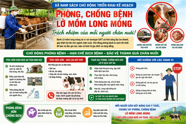 Xã Nam Sách chủ động triển khai kế hoạch ứng phó khẩn cấp với bệnh lở mồm long móng