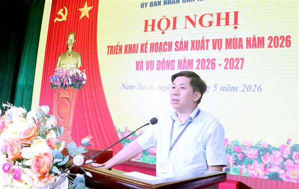 Nam Sách triển khai kế hoạch sản xuất vụ mùa năm 2026 và vụ đông năm 2026–2027