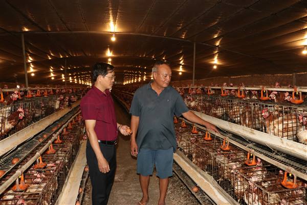 Nam Sách tăng cường phòng, chống bệnh cúm gia cầm, bảo vệ đàn vật nuôi và sức khỏe cộng đồng