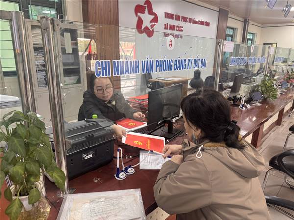Hải Phòng triển khai đánh giá năng lực DCCI năm 2026