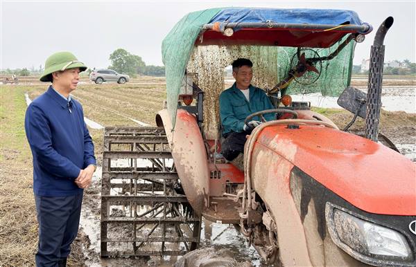 Xã Nam Sách tăng cường phòng trừ sinh vật gây hại trên mạ vụ Mùa năm 2026