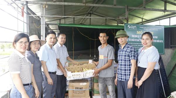 Bàn giao trên 1.000 con ngan giống, thức ăn chăn nuôi và vắc xin cho hộ dân thôn Đoàn Kết tham gia mô hình khuyến nông