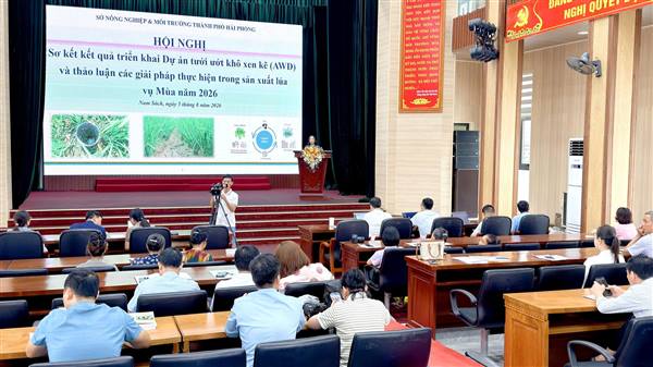 Sơ kết Dự án tưới ướt khô xen kẽ (AWD), thúc đẩy sản xuất lúa giảm phát thải