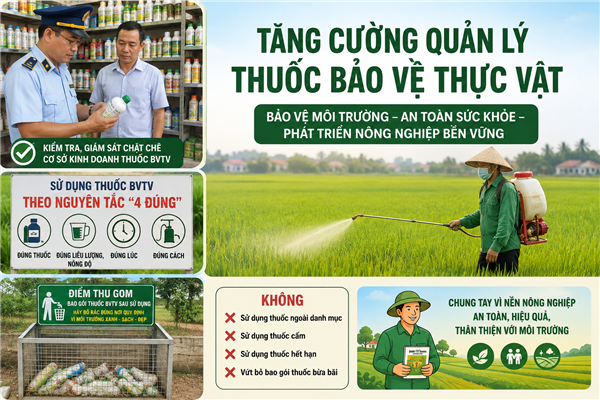 Tăng cường quản lý thuốc bảo vệ thực vật trên địa bàn