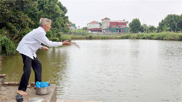Chủ động bảo vệ cá nuôi trong mùa mưa bão