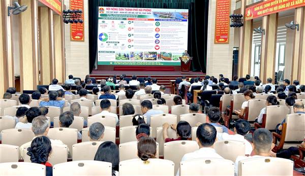 Hội Nông dân thành phố tập huấn nghiệp vụ cho cán bộ, hội viên tại xã Nam Sách