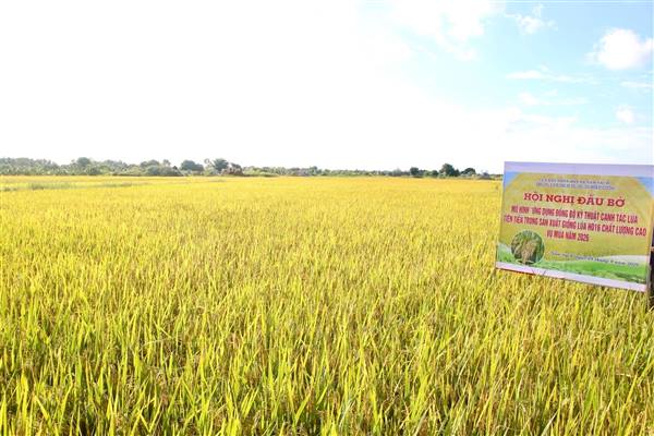 Nông dân thụ hưởng chính sách hỗ trợ nông nghiệp