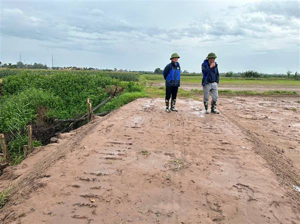 Tập trung phòng, chống và kịp thời khắc phục hậu quả bão số 5, mưa lũ sau bão