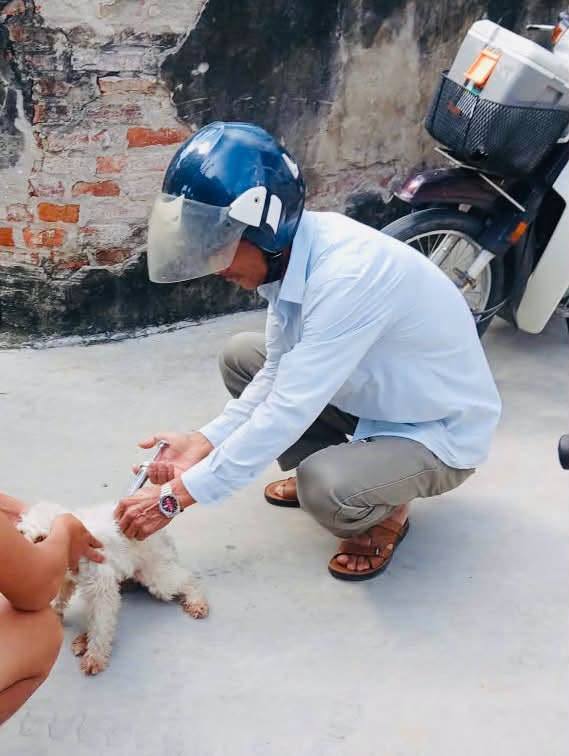 XÃ NAM THANH MIỆN TRIỂN KHAI TIÊM PHÒNG BỆNH DẠI CHO CHÓ, MÈO