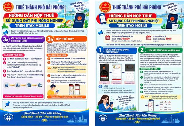 ĐẨY MẠNH TUYÊN TRUYỀN, HƯỚNG DẪN NỘP THUẾ SỬ DỤNG ĐẤT PHI NÔNG NGHIỆP QUA ỨNG DỤNG ETAX MOBILE